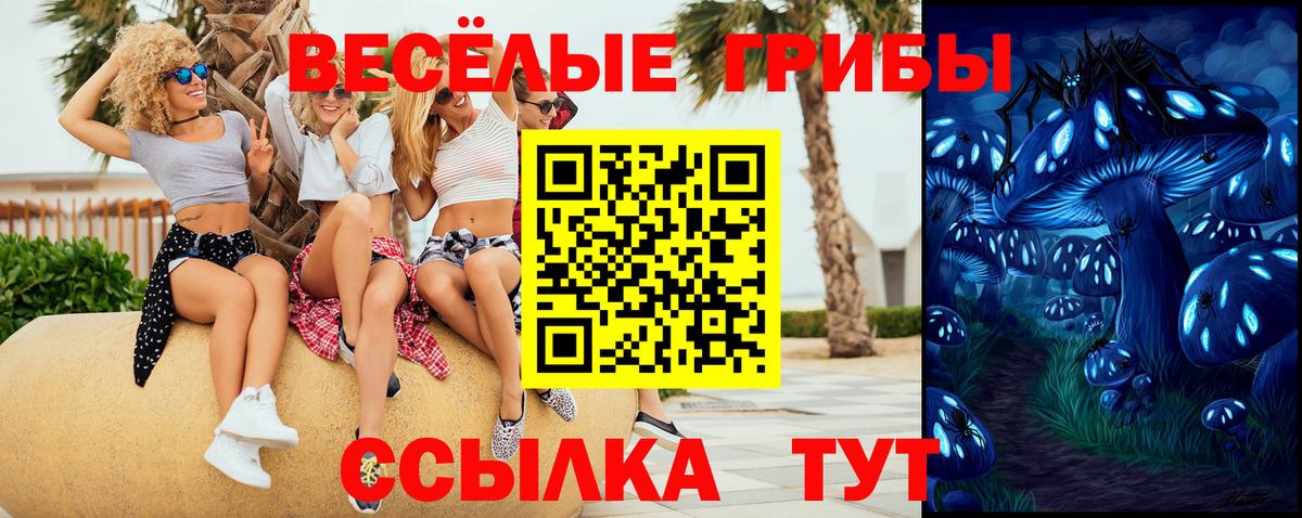 Псилоцибиновые грибы Cubensis Борисоглебск