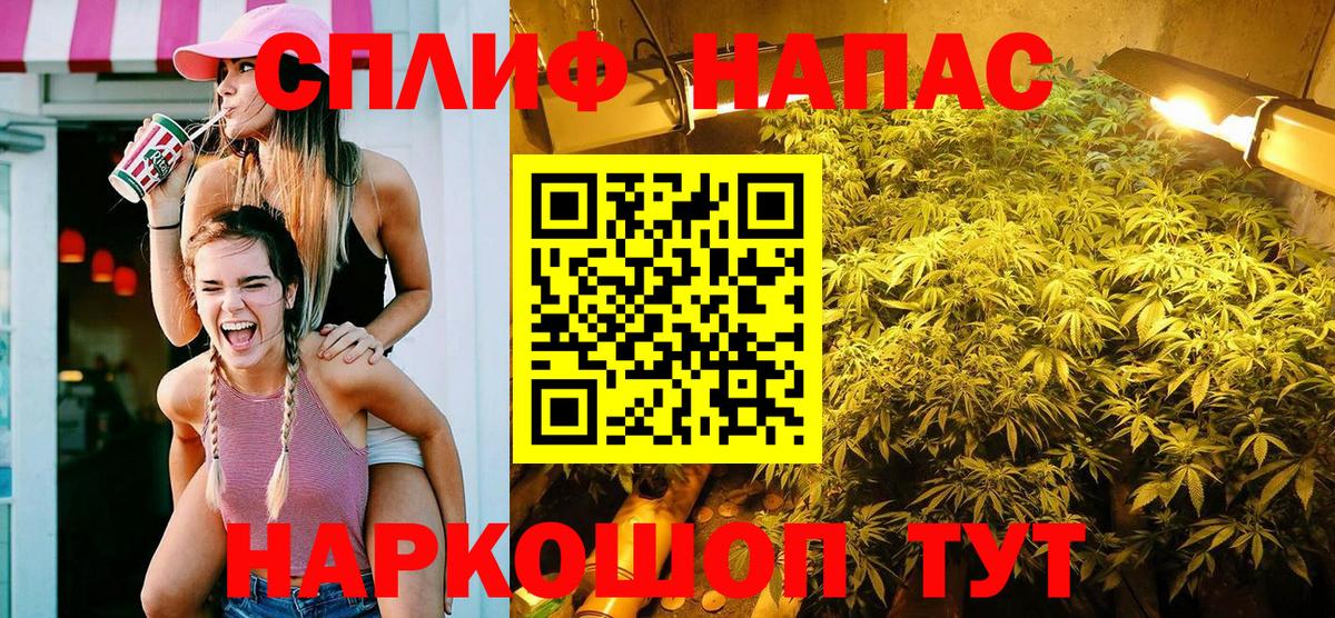Конопля планчик Борисоглебск